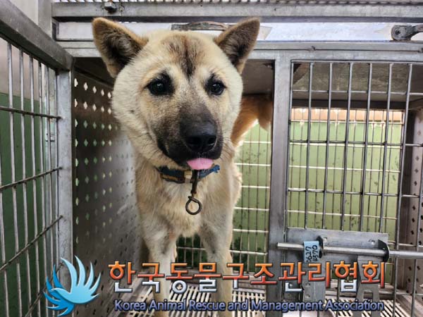 한국동물구조관리협회_411323202400730