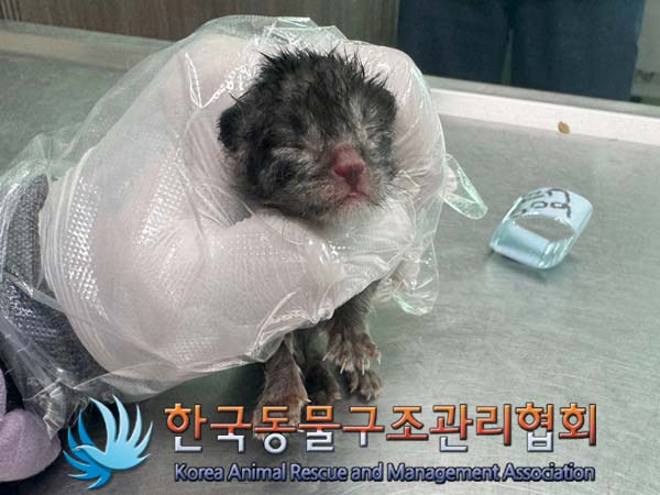 한국동물구조관리협회_441406202401180