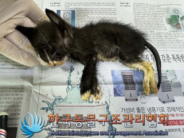 종료(자연사) 한국…