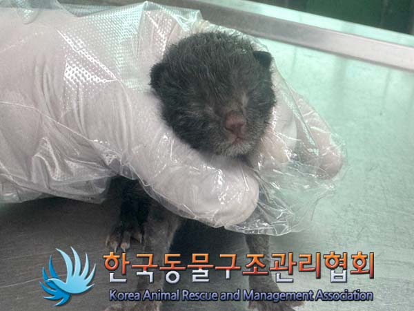 종료(자연사) 한국…