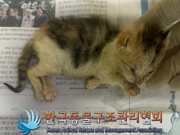한국동물구조관리협회_441406202401176