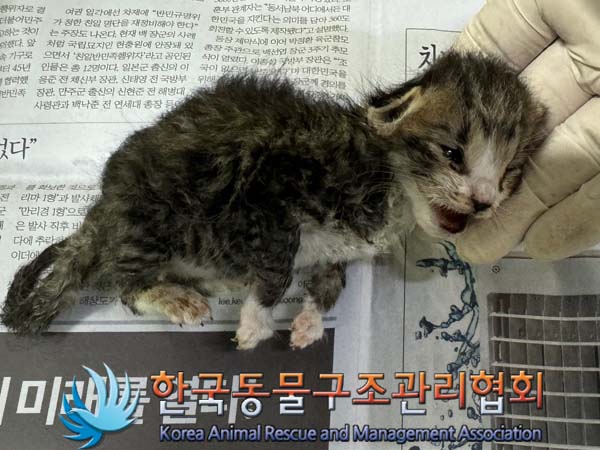 한국동물구조관리협회_441406202401175