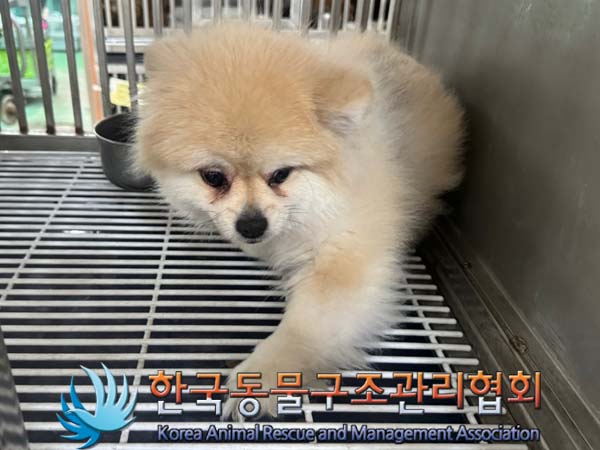 한국동물구조관리협회_411305202400423