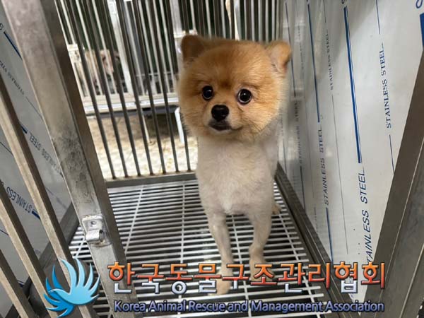 한국동물구조관리협회_411318202400257