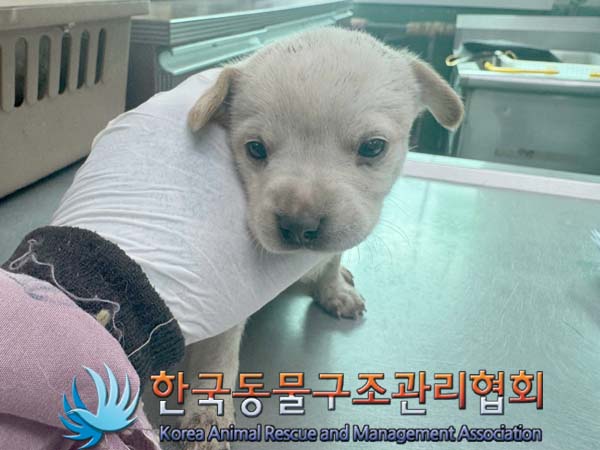 한국동물구조관리협회_441392202400200