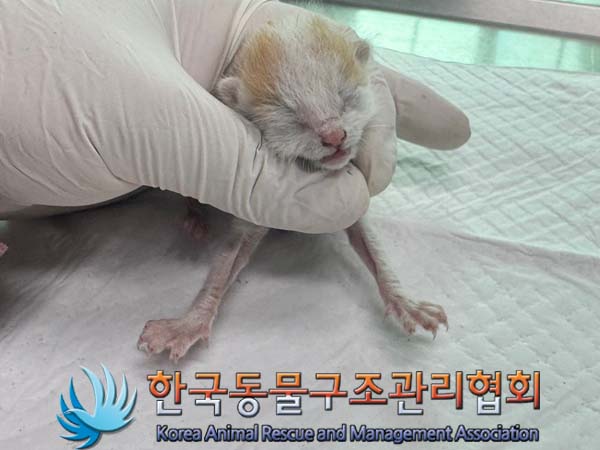 종료(자연사) 한국…