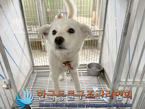 한국동물구조관리협회_441560202400690