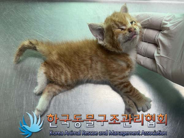 한국동물구조관리협회_441406202401182