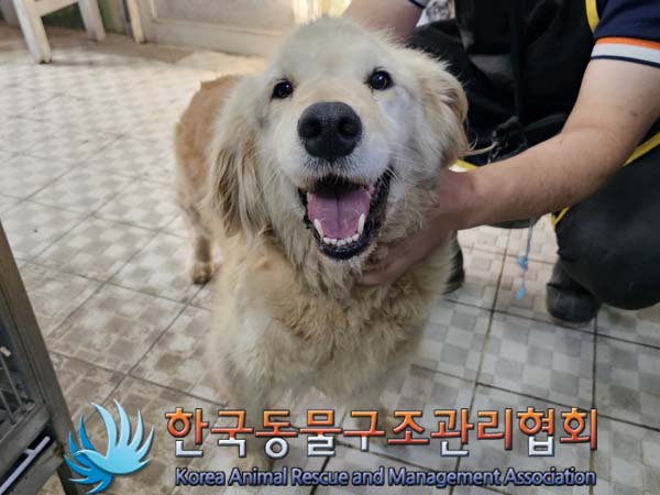 한국동물구조관리협회_441560202400692