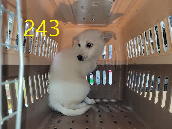 신영재동물병원_428355202400431