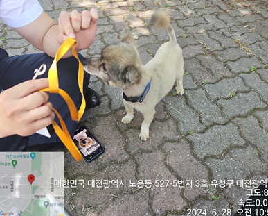 대전동물보호센터_430367202400449