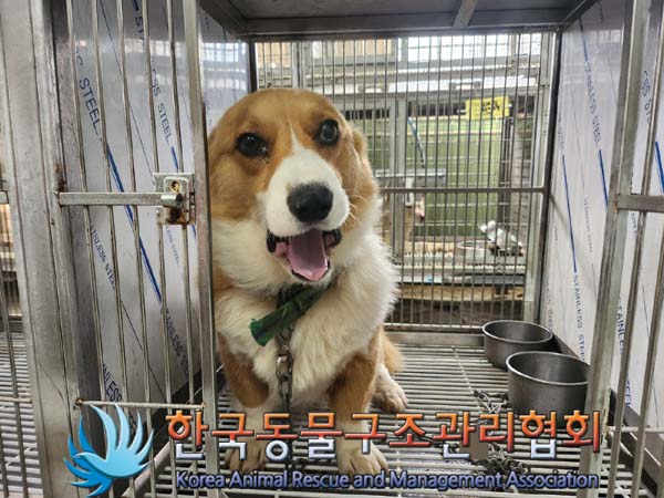 한국동물구조관리협회_441560202400693