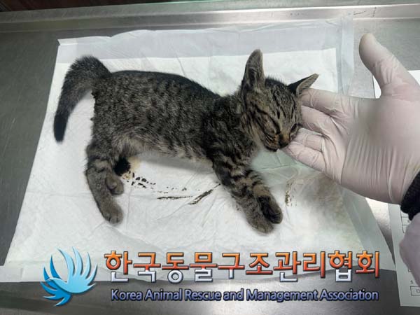 종료(자연사) 한국…