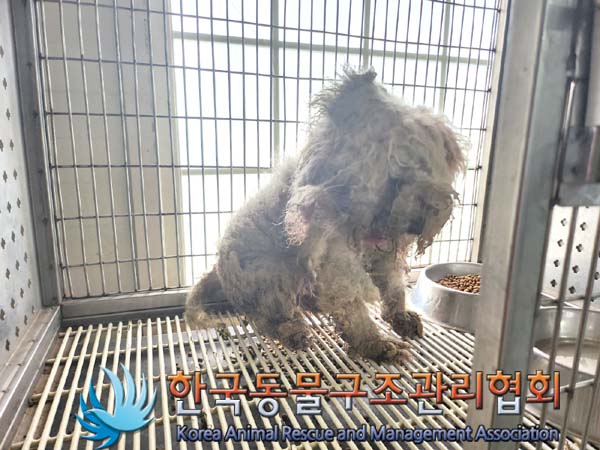 한국동물구조관리협회_441382202400551