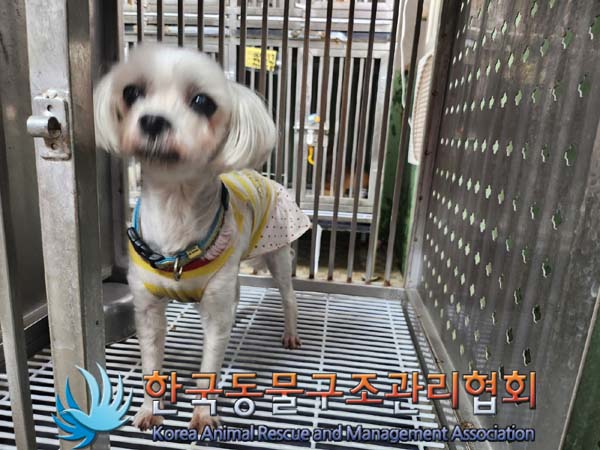 한국동물구조관리협회_411317202400222