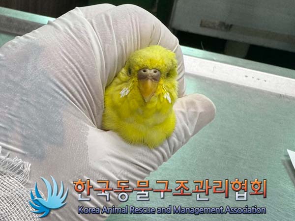 한국동물구조관리협회_411304202400341