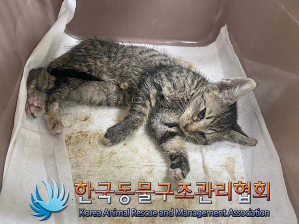 종료(자연사) 한국…