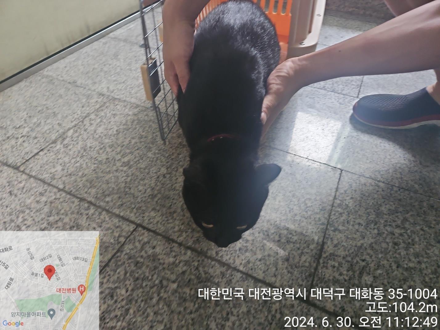 종료(입양) 한국 …