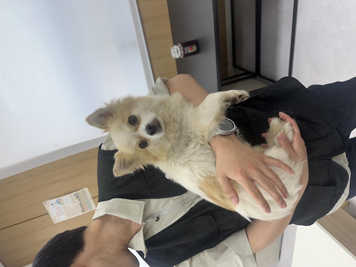 내품애센터_411312202400552