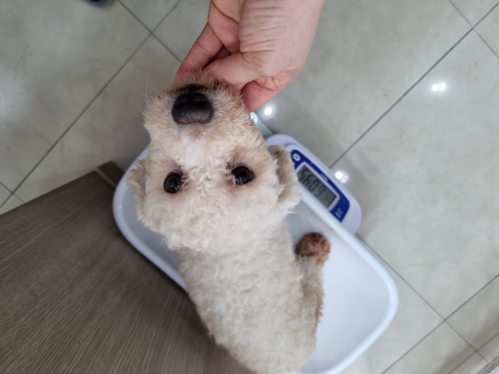 21세기동물병원_445464202402149