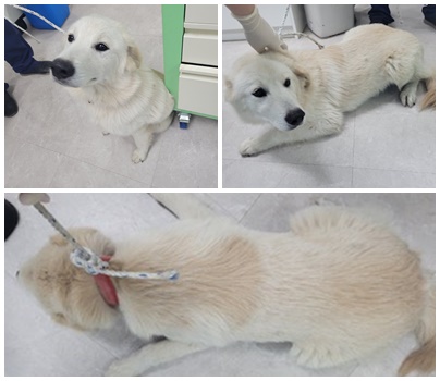 논산시 동물보호센터_444454202400548