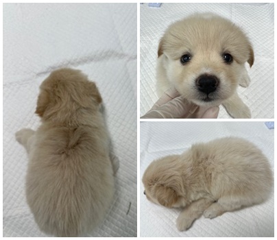 논산시 동물보호센터_444454202400552