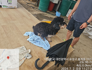 대전동물보호센터_430367202400469