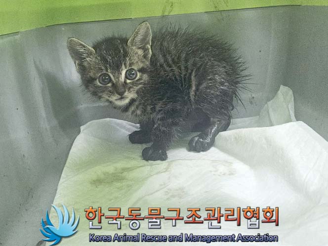 종료(자연사) 한국…