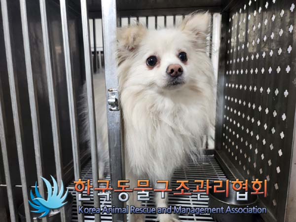 한국동물구조관리협회_411309202400201