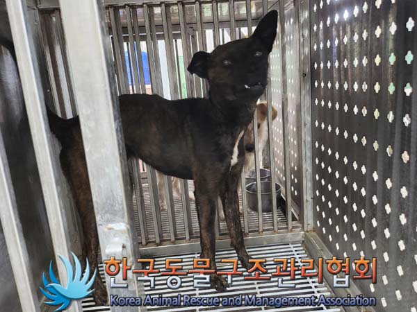 한국동물구조관리협회_441414202400451