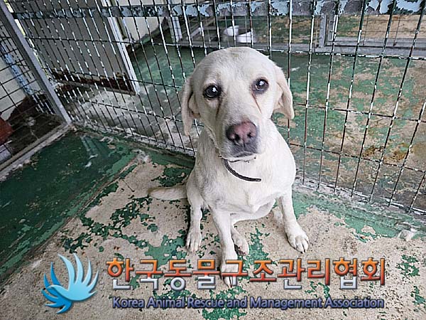 종료(반환) 라브라…