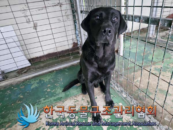 종료(반환) 라브라…