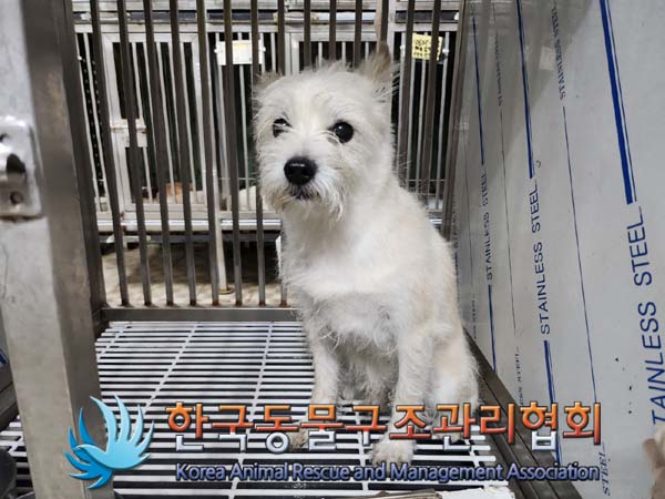 한국동물구조관리협회_411310202400559