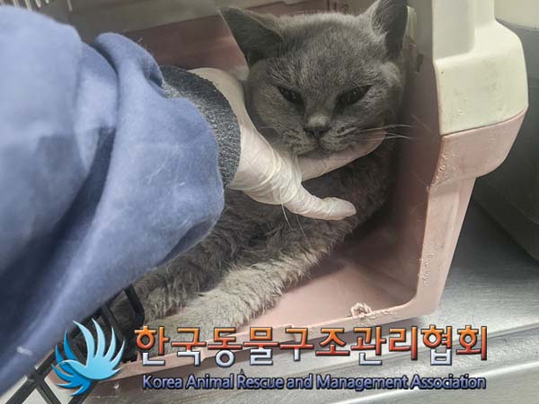 종료(자연사) 브리…