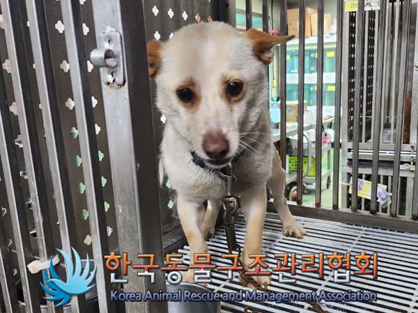 한국동물구조관리협회_411315202400361
