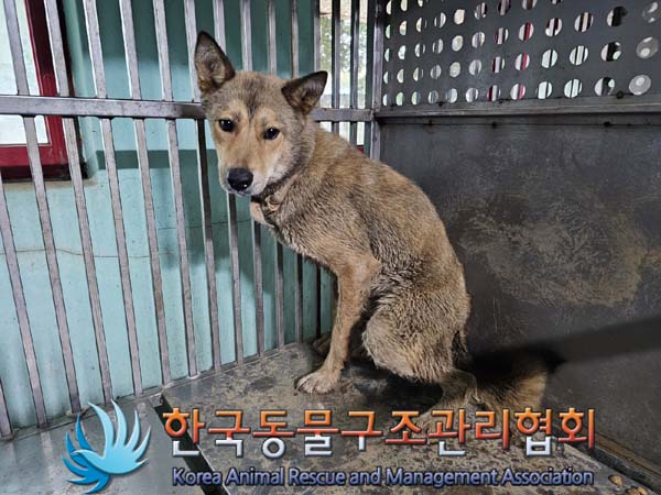 한국동물구조관리협회_441560202400698