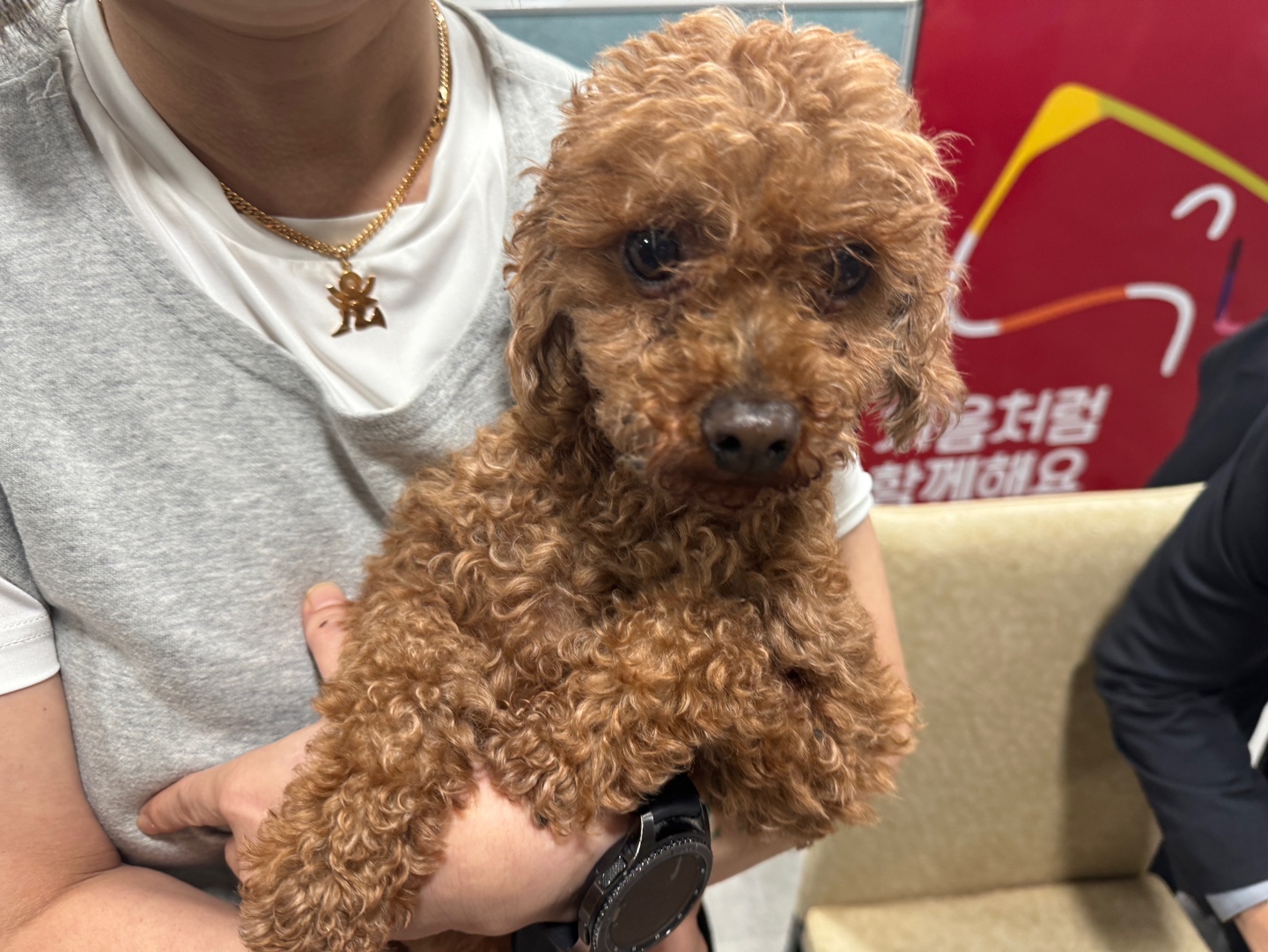 (사)영일동물플러스_447502202400770