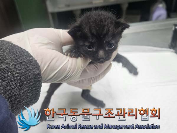 한국동물구조관리협회_411312202400559