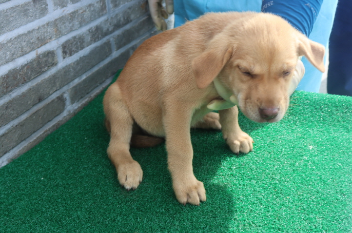 제주 동물보호센터_450650202402009