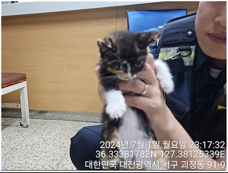 종료(입양) 한국 …