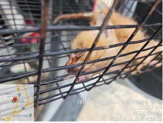 대전동물보호센터_430367202400471