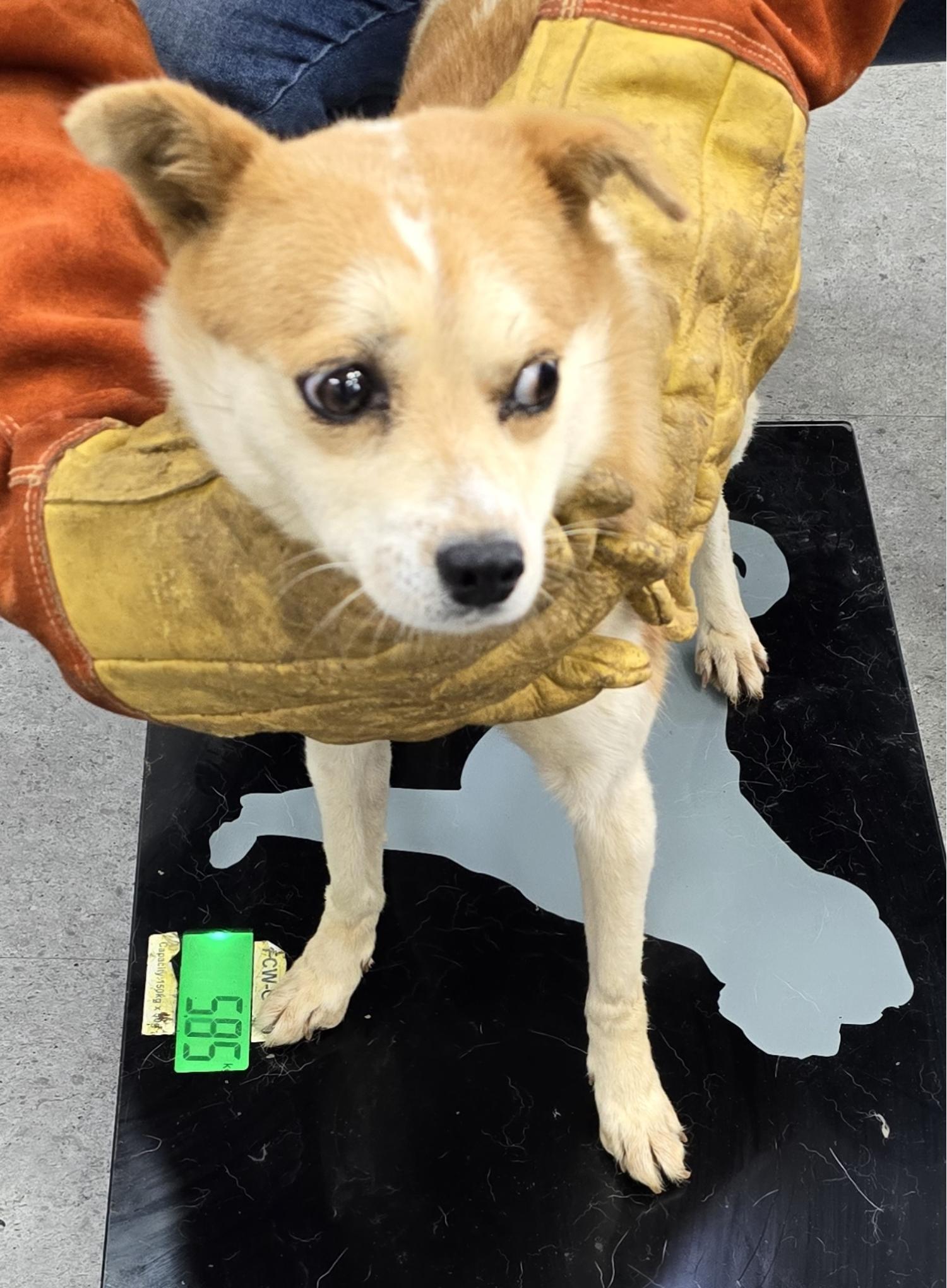 베스트동물병원_428357202400905