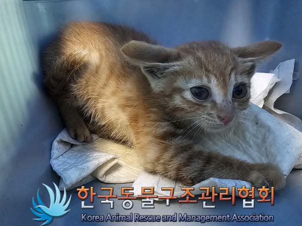 종료(자연사) 한국…