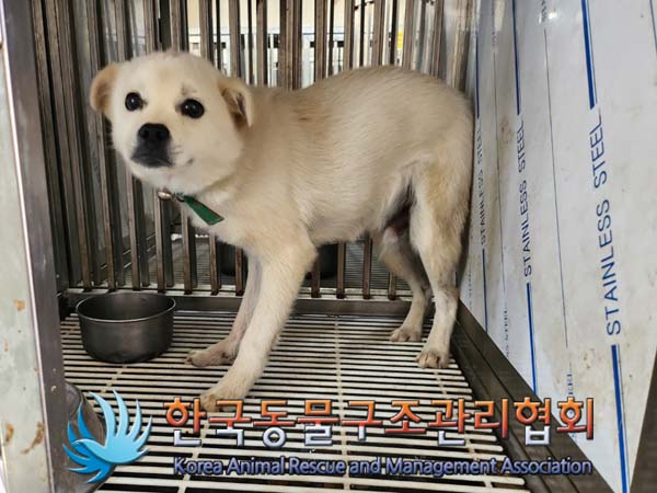 한국동물구조관리협회_441414202400452
