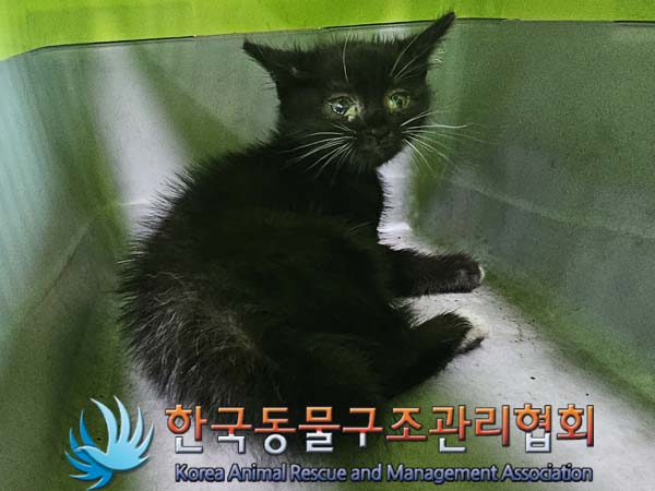종료(자연사) 한국…