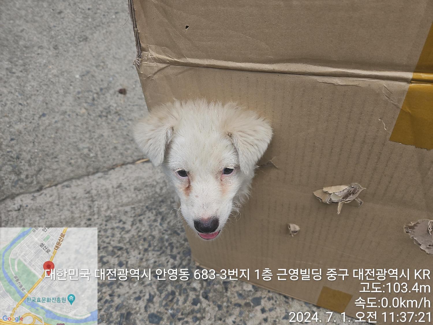 대전동물보호센터_430365202400298