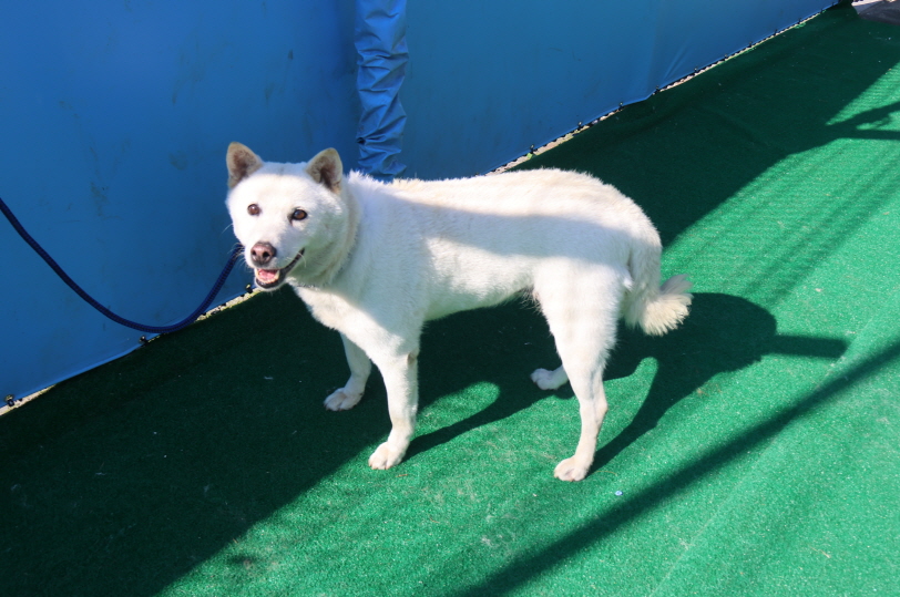 제주 동물보호센터_450650202402025