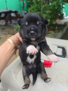 밀양시 동물보호센터_448536202401188