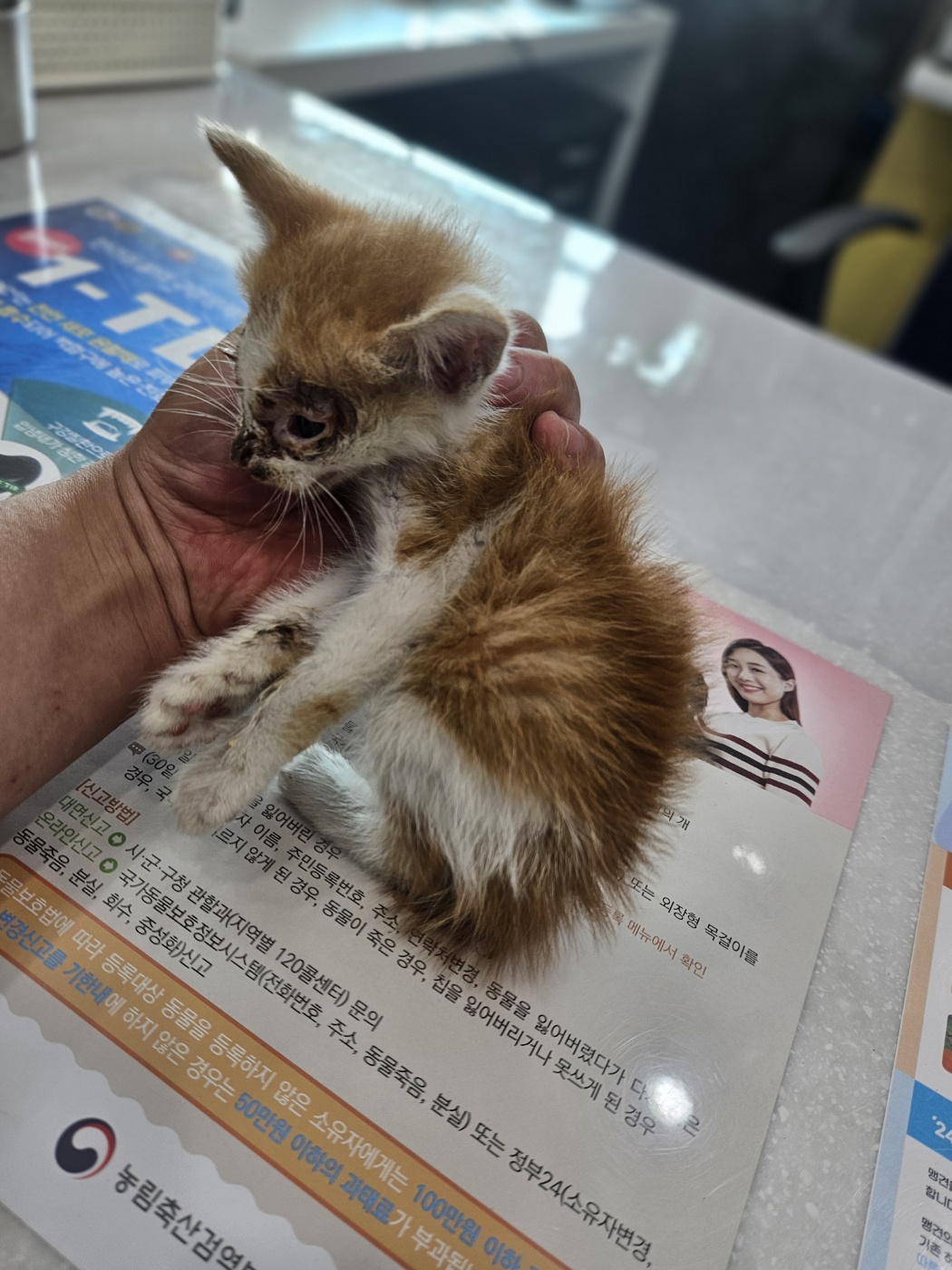진안군유기동물보호소_445473202400459