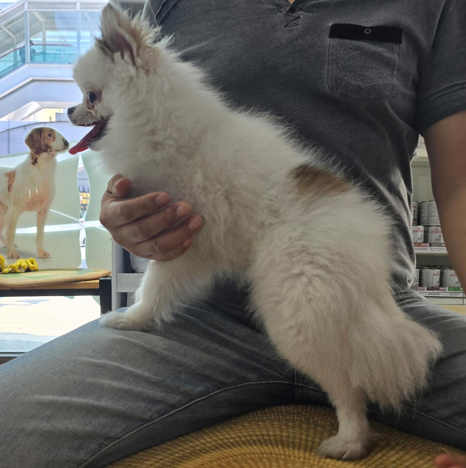 허동물병원_427346202400777